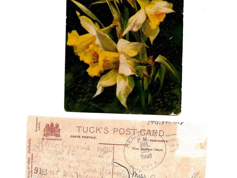 Postcard to Annie Smalling, Duke, Oklahoma, July 25, 1908