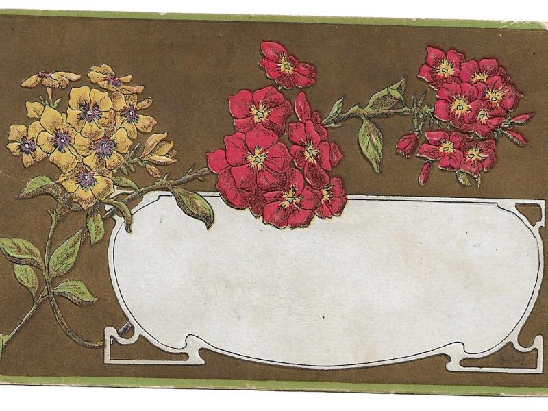 Postcard to Mrs. M. E. Hutchinson, Elk City, Oklahoma, August 17, 1908