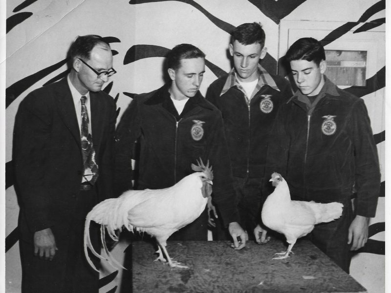 Delhi FFA Poultry Judging Team
